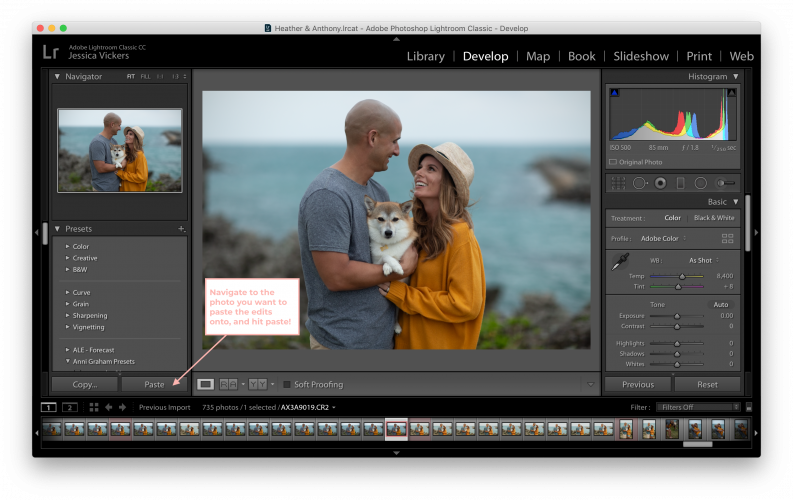 5 Lightroom Tools You Should Be Using | jessicavickers.com